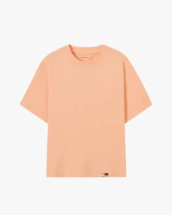 Pack De 3 Camisetas Summer Colors