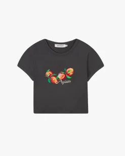 Peach Top Ash